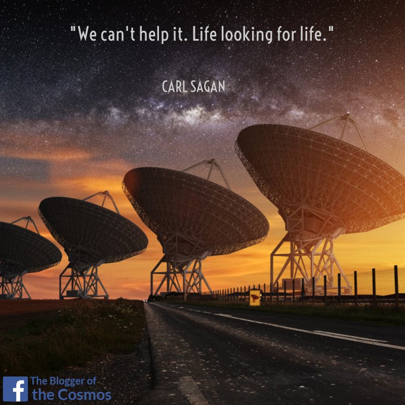 1936395_590067084491454_1956753113797569518_n